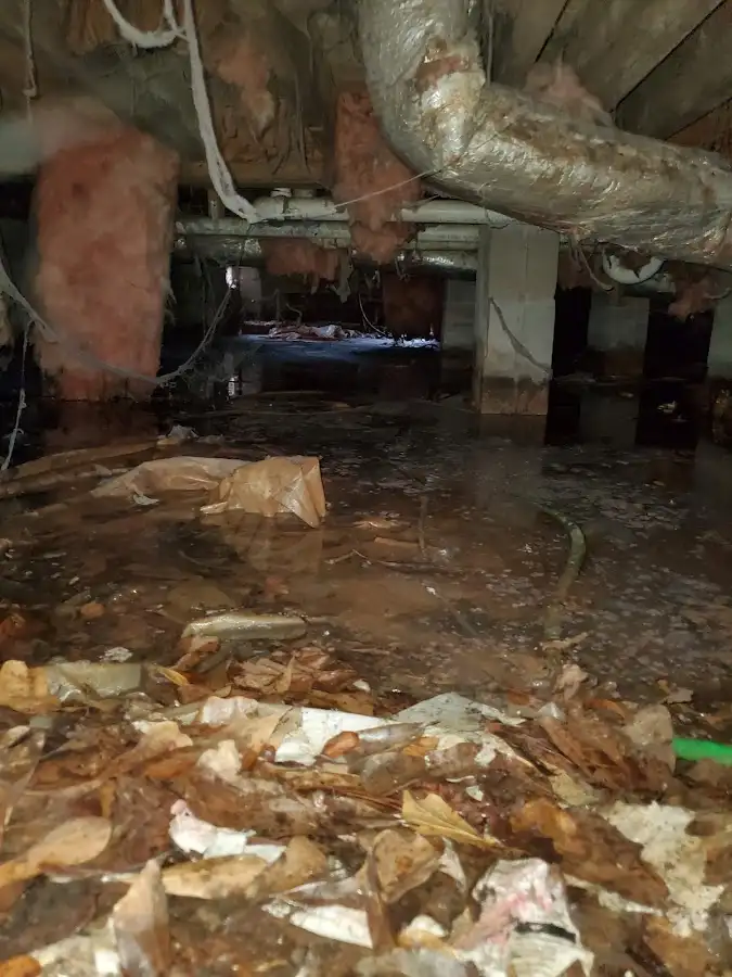 Crawl space flood assessment for Leak Detection & Repair in Dennis