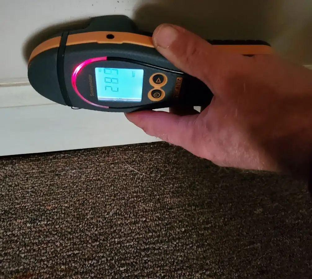 Moisture detection at baseboard during Sewage Cleanup & Sanitation in Dennis